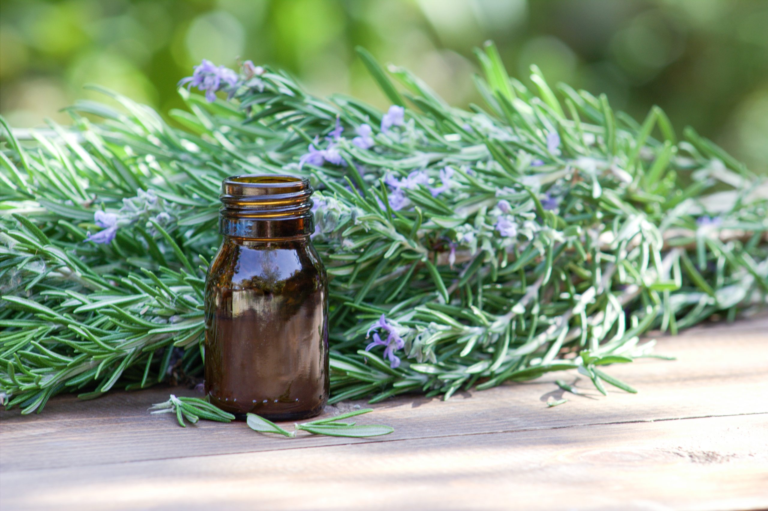 Rosemary and its impact on hair growth